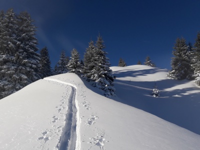 20171213_113614.jpg